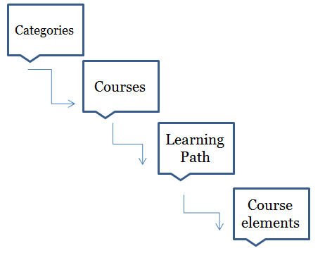 learning path